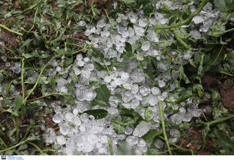Xanthi: Damage to hail and tornado crops – Many villages in the dark