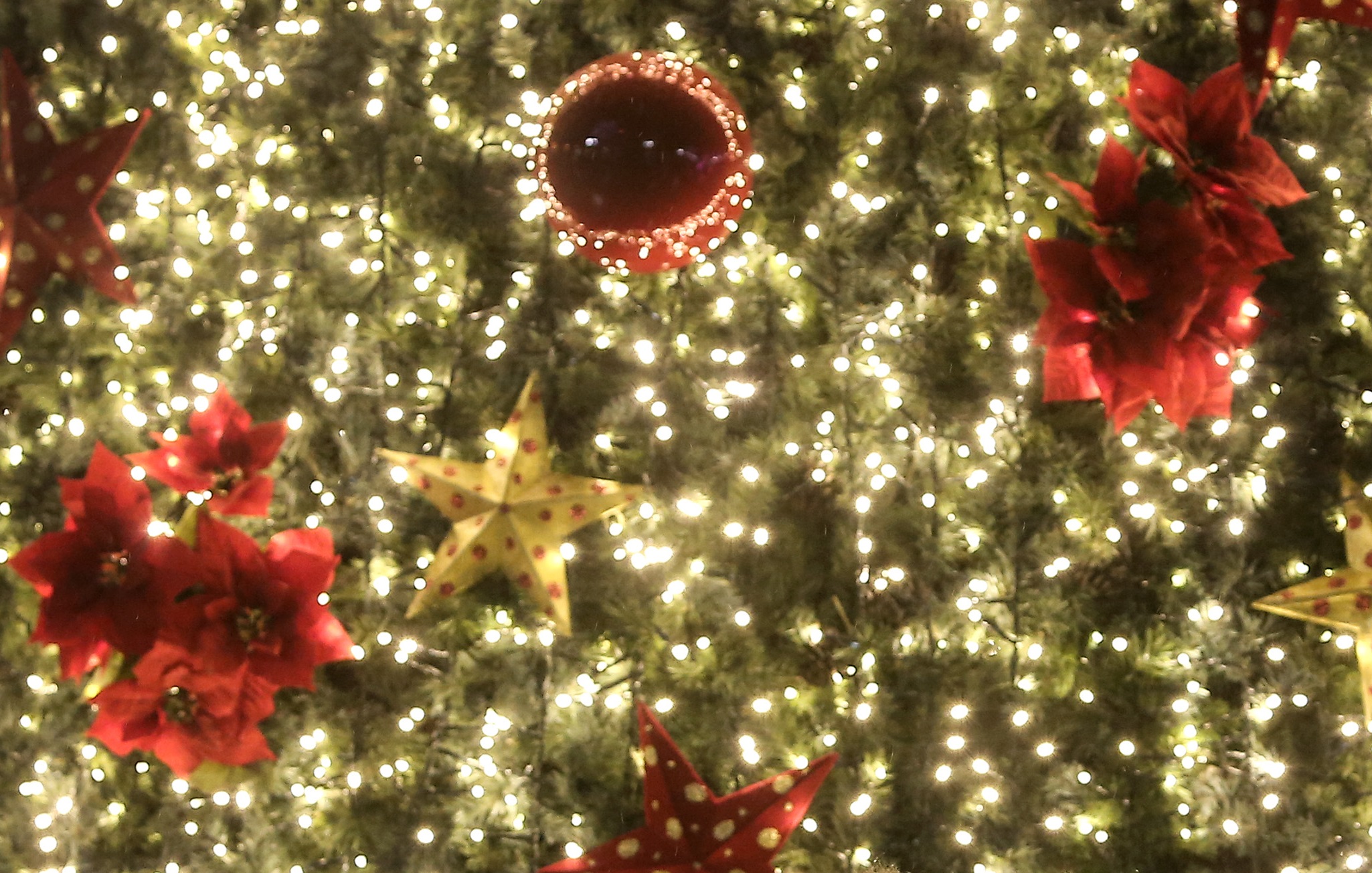 Καστοριά: Αποκαλύψεις για τους διαρρήκτες των Χριστουγέννων – Δεν είχαν γλιτώσει όπως πίστευαν