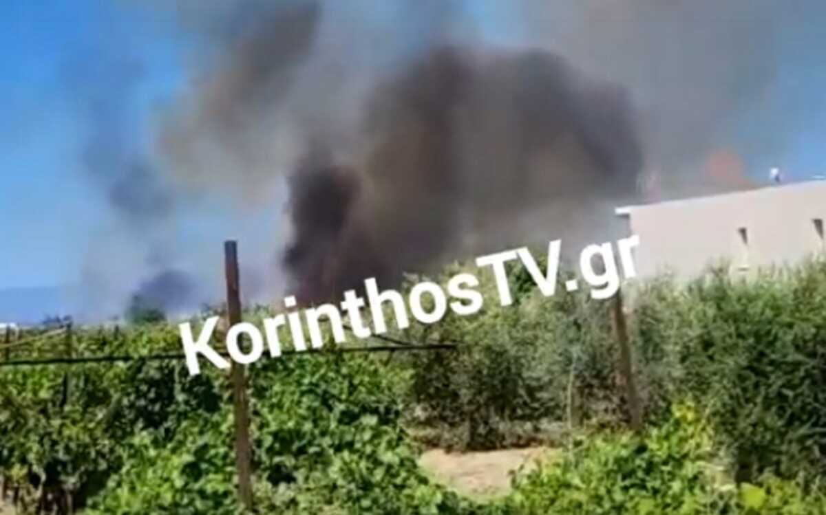 Κορινθία: Φωτιά στο Ζευγολατιό κοντά σε σπίτια – Ένα σύννεφο μαύρου καπνού κάλυψε την περιοχή