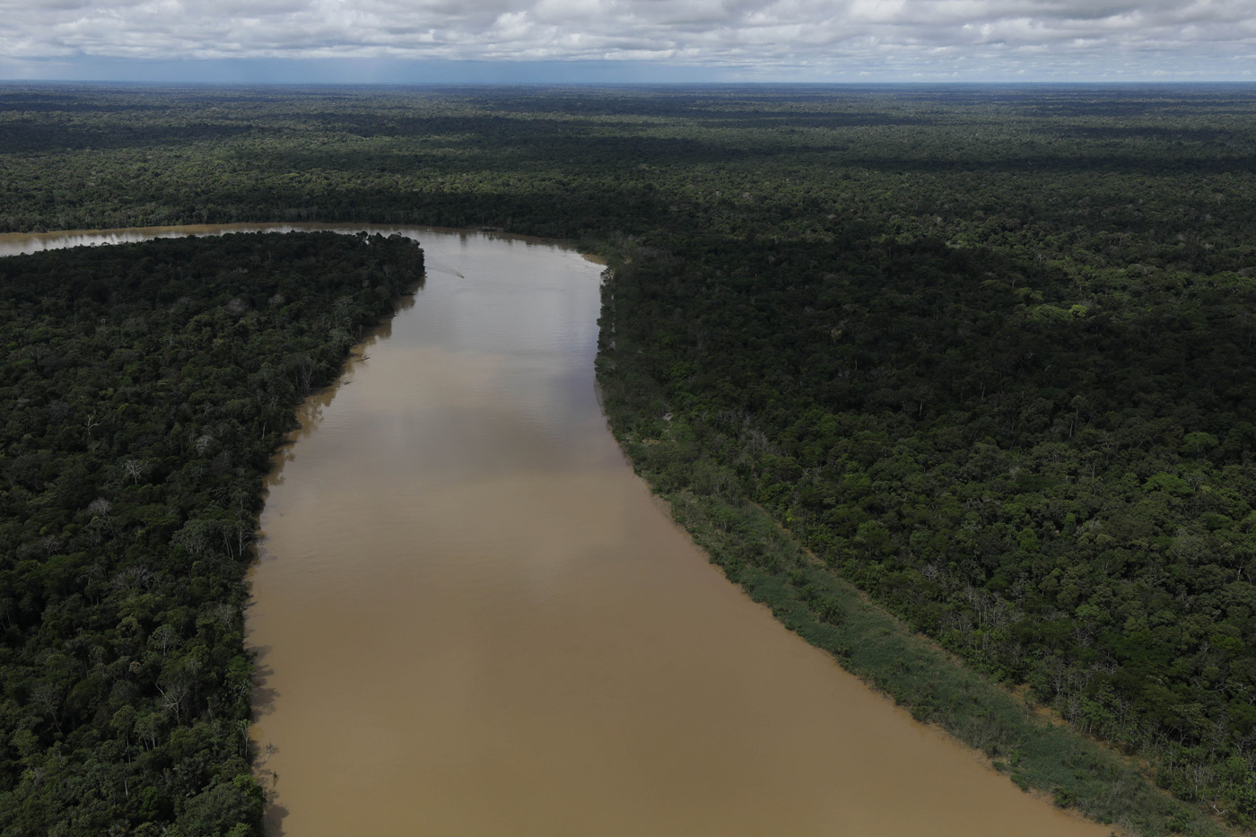 Αμαζόνιος: Ρεκόρ αποψίλωσης το πρώτο 6μηνο του 2022 στη Βραζιλία