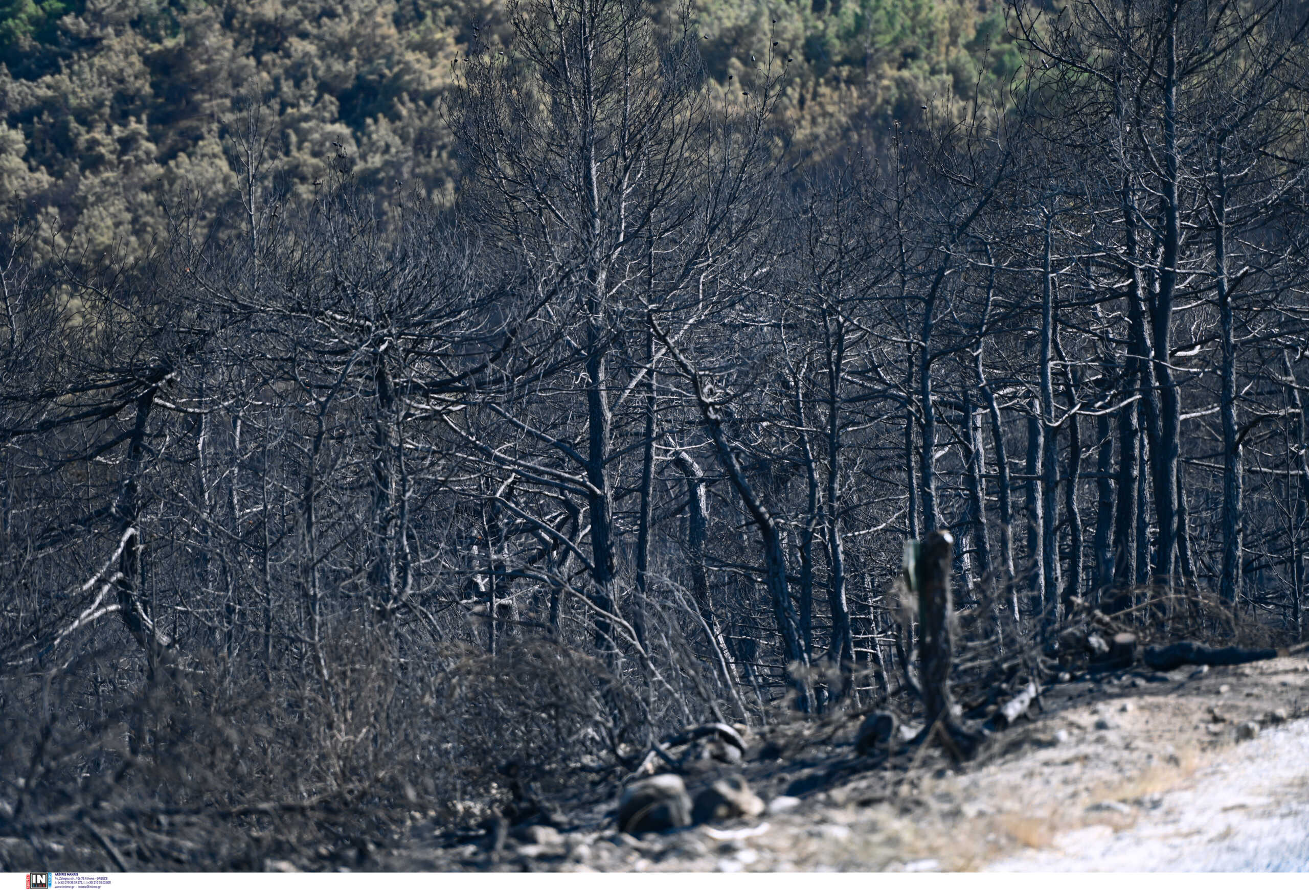 Υπό έλεγχο οι φωτιές στις περιοχές Λυνίσταινα και Αγία Κυριακή Ηλείας  – Οριοθετημένη η πυρκαγιά στο Ελληνοχώρι Κορινθίας