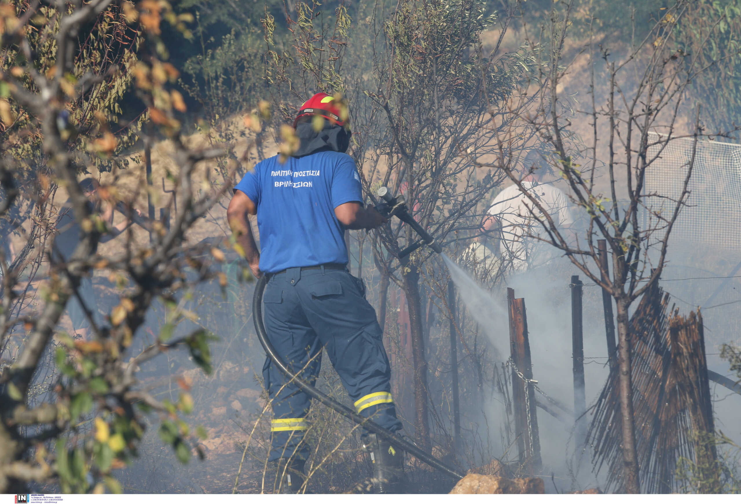 Κάρυστος: Φόβοι για αναζωπύρωση της φωτιάς λόγω του δυνατού αέρα – Στο πόδι οι πυροσβέστες