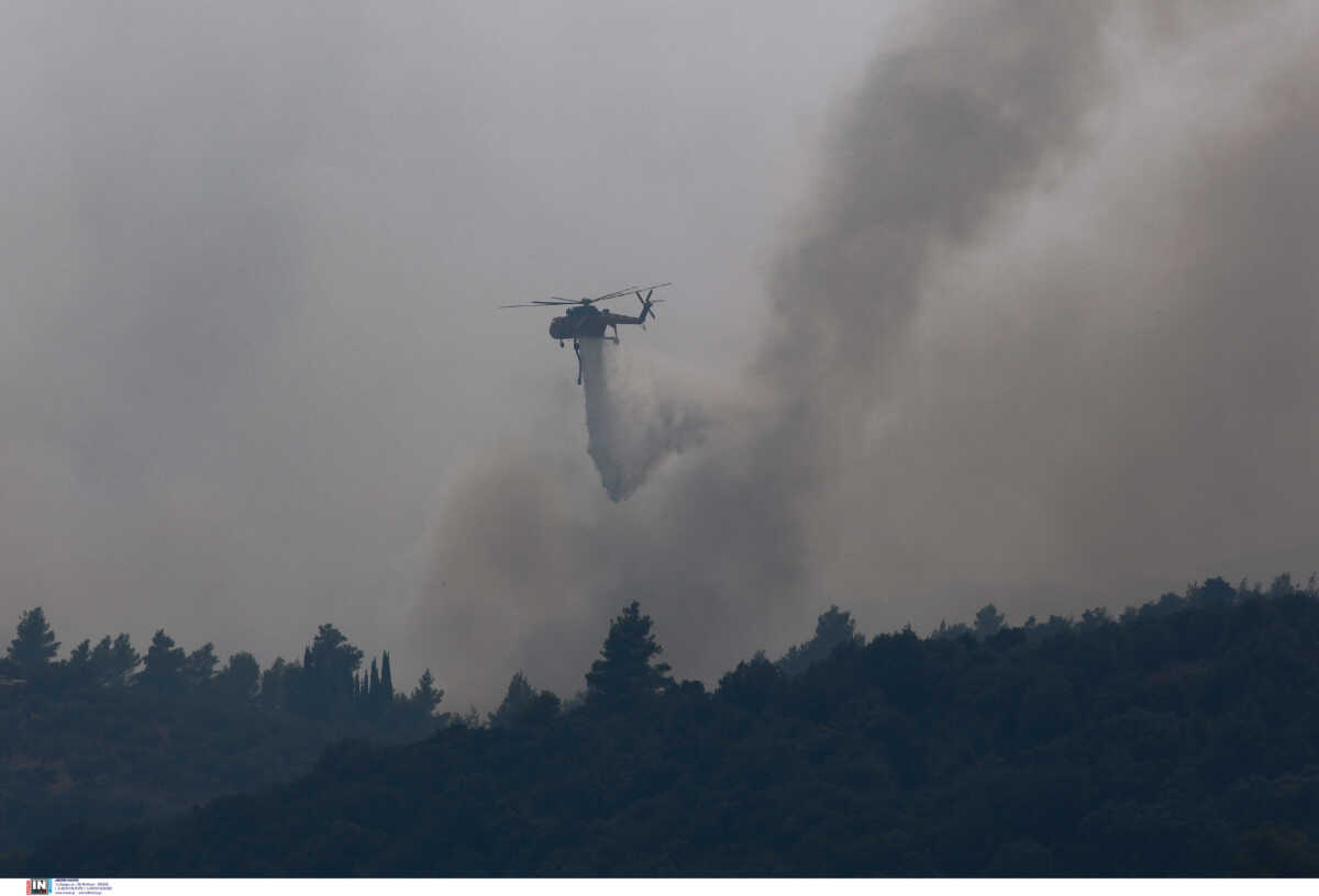 Φωτιά στην Ηλεία: Στο νοσοκομείο πυροσβέστης – «Δεν κινδυνεύει ακόμα το χωριό Κορυφή» λέει ο δήμαρχος
