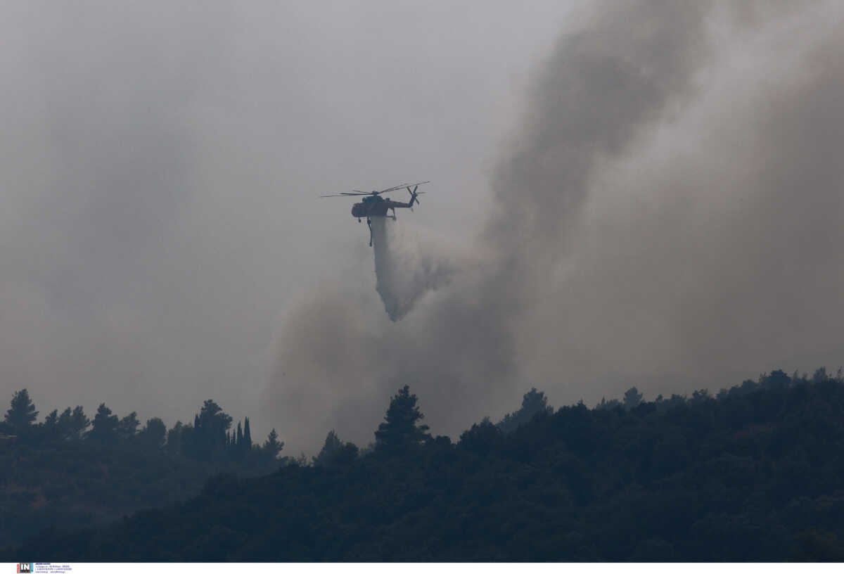 Φωτιά στο Νεοχώρι Πρέβεζας – Μεγάλη κινητοποίηση της πυροσβεστικής