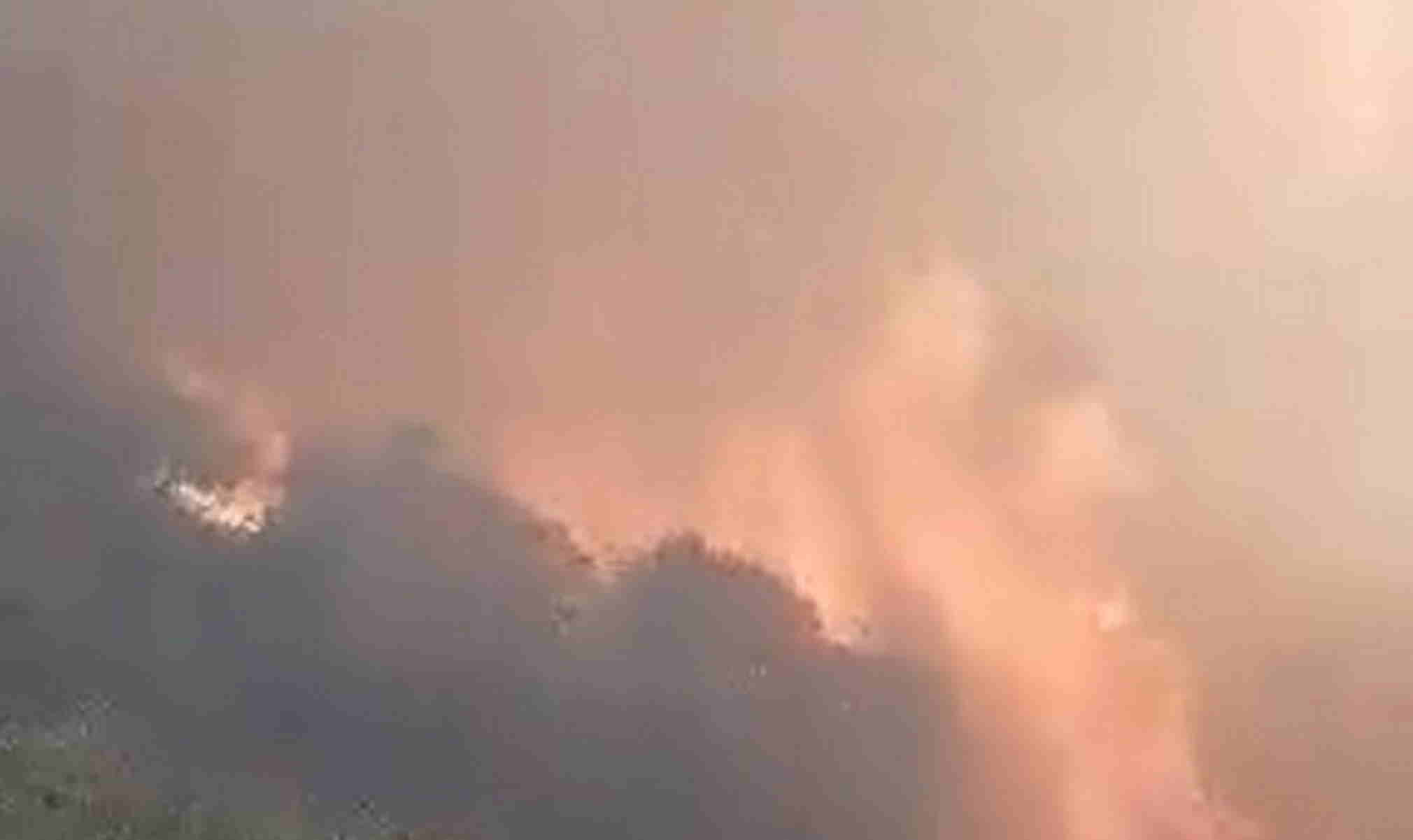Φωτιά στην Ηλεία: Μαίνεται το πύρινο μέτωπο – Δύσκολο βράδυ στη μάχη με τις φλόγες