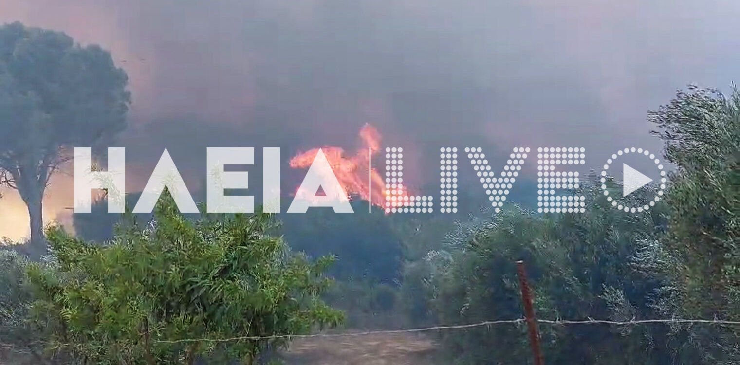 Φωτιά στην Ηλεία: Αναζωπυρώσεις κινητοποίησαν ξανά την Πυροσβεστική