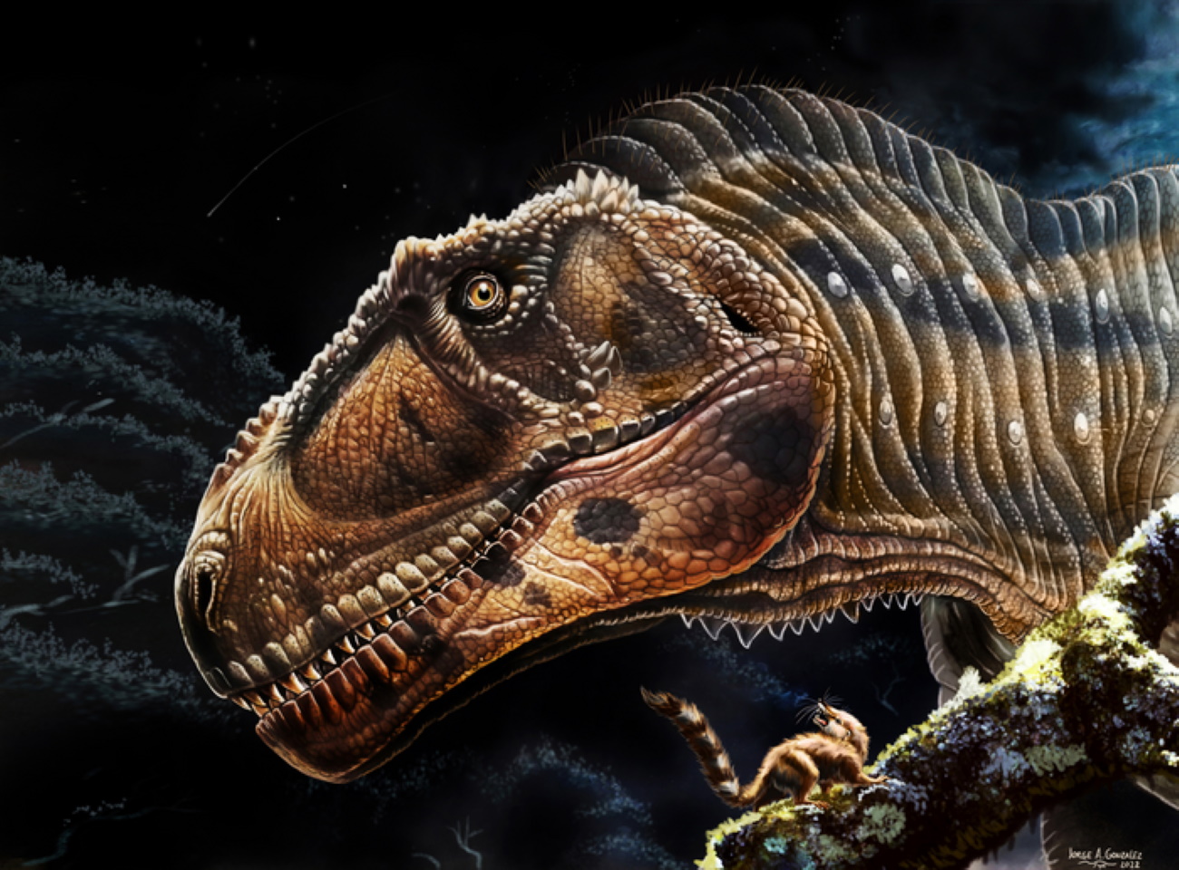 Ανακαλύφθηκε νέο είδος δεινοσαύρου με μικροσκοπικά χέρια