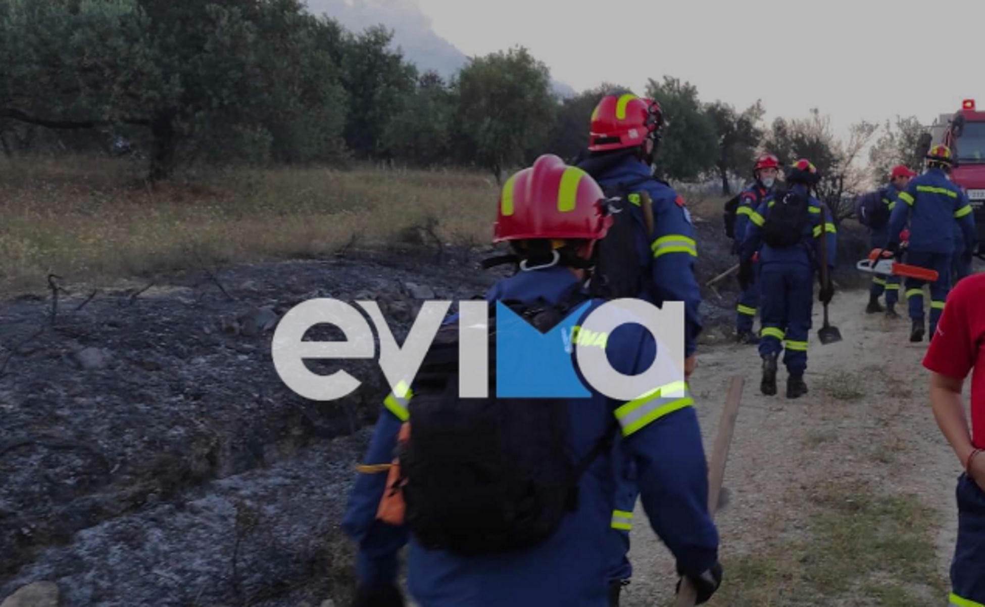 Φωτιά στην Κάρυστο – Άμεσα στο σημείο η πυροσβεστική, πνέουν ισχυροί άνεμοι