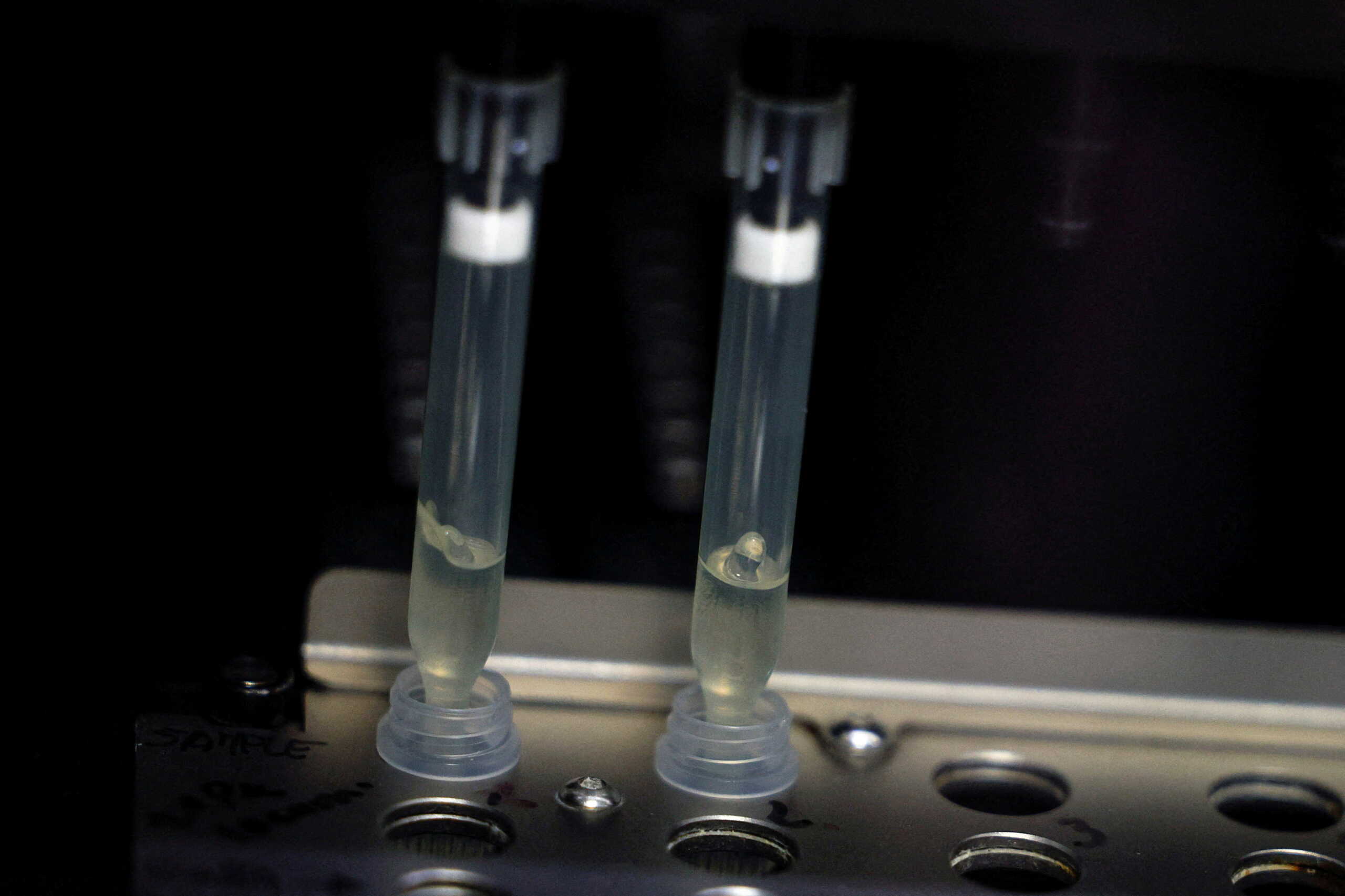 FILE PHOTO: Two samples of suspected cases of monkeypox go through a process of nucleic acid extraction as they get tested at a microbiology lab at La Paz Hospital in Madrid, Spain, June 1, 2022. REUTERS