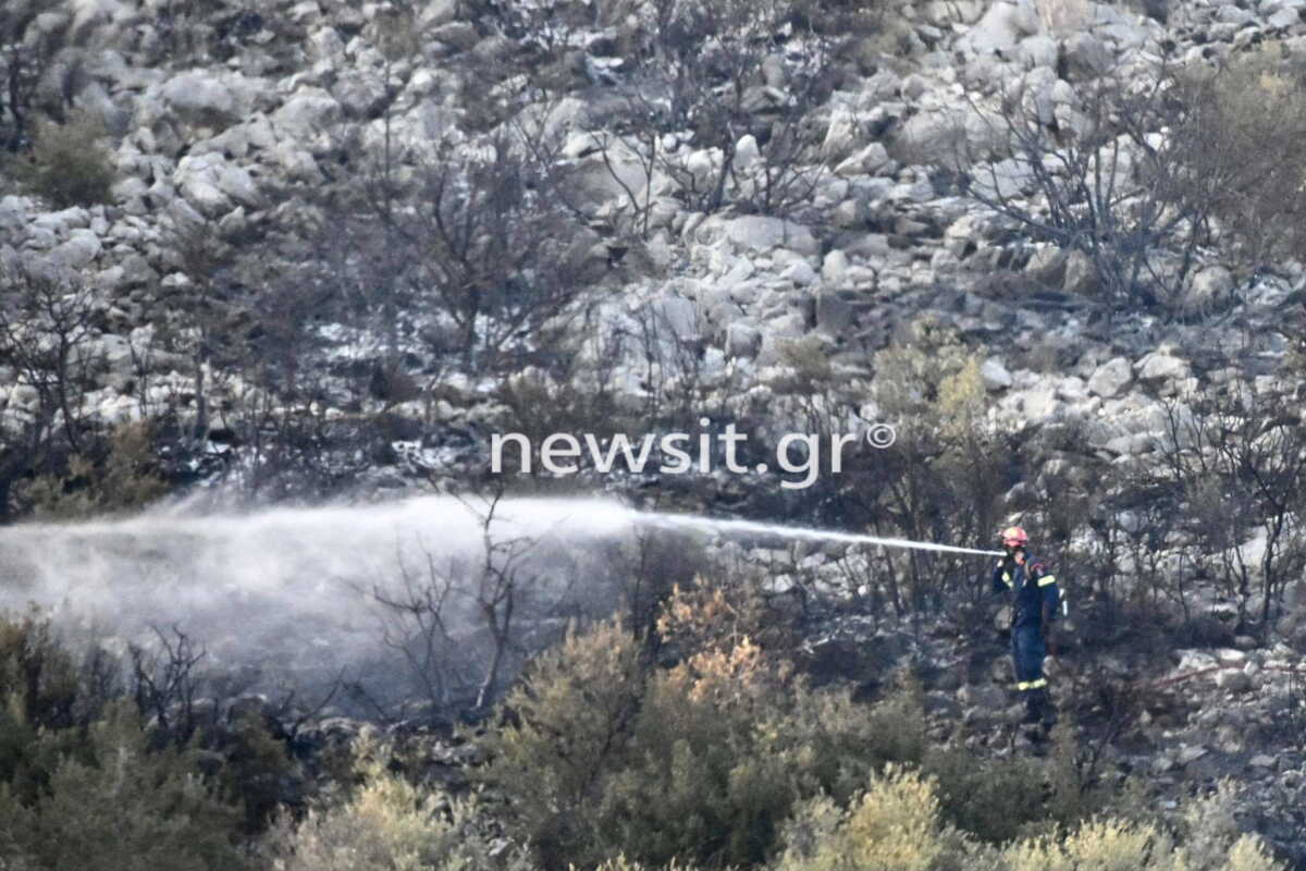 Φωτιά στη Μάνδρα: Η αστυνομία προχώρησε σε δύο προσαγωγές