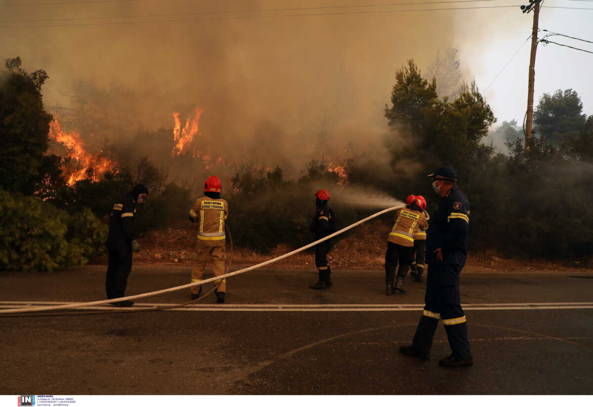 Φωτιά στη Φυλή σε δασική περιοχή – Μεγάλη κινητοποίηση της πυροσβεστικής