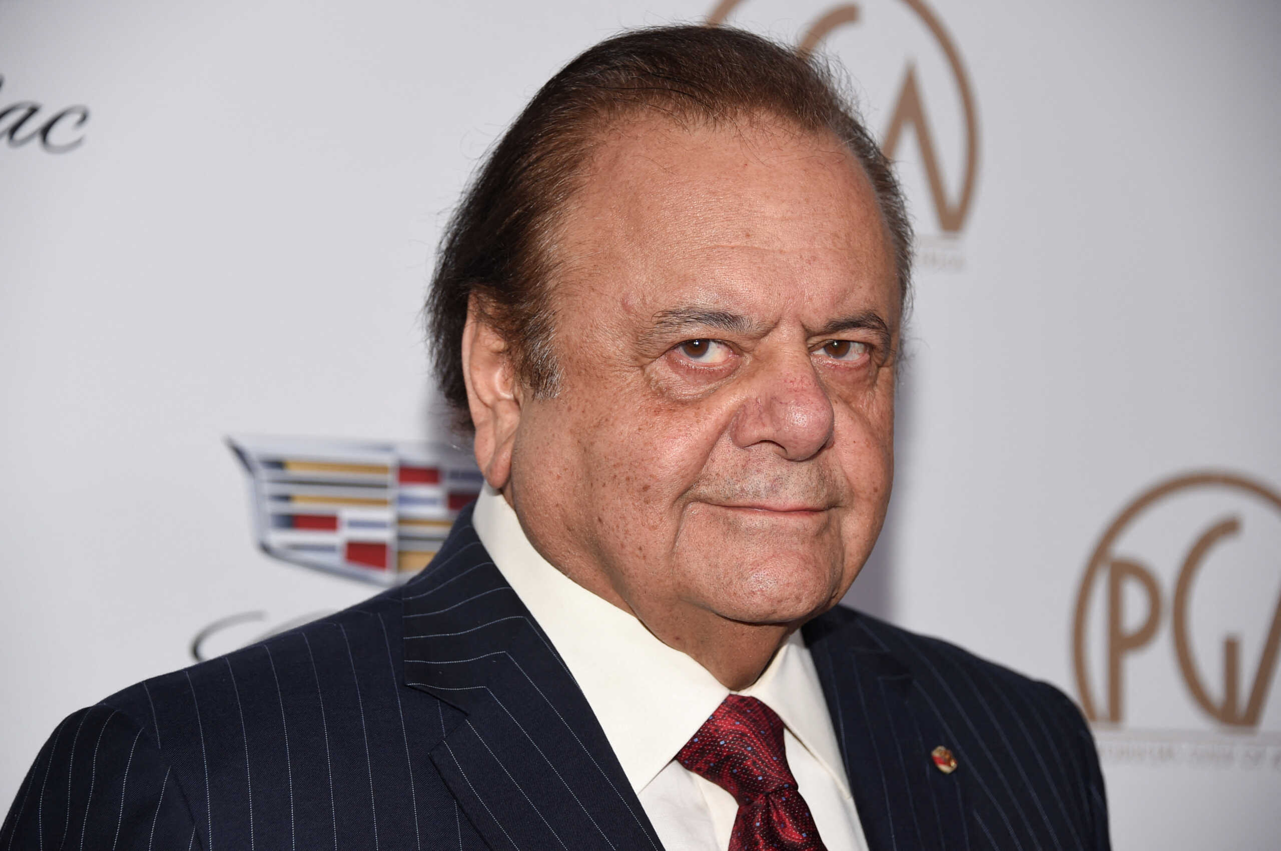 FILE PHOTO: Paul Sorvino attends the 29th annual Producers Guild Awards in Beverly Hills, California, U.S. January 20, 2018. REUTERS