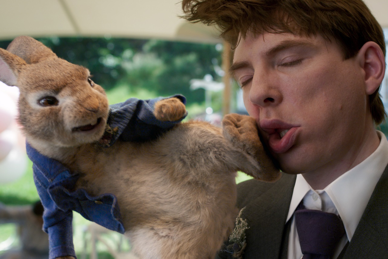 11006693 - PETER RABBIT 2