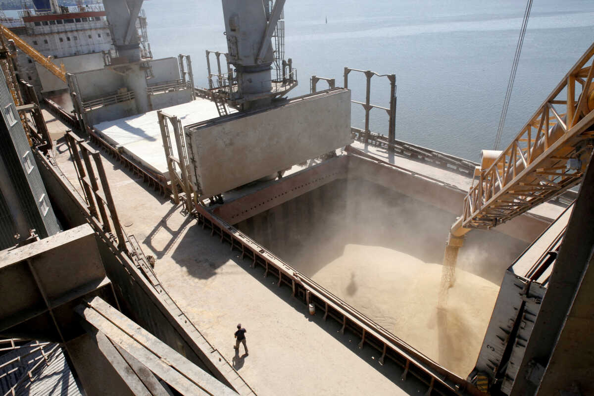 FILE PHOTO: A dockyard worker watches as barley grain is mechanically poured into a 40,000 ton ship at a Ukrainian agricultural exporter's shipment terminal in the southern Ukrainian city of Nikolaev July 9, 2013.   REUTERS