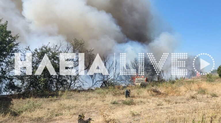 Ηλεία: Φωτιά στην Αμαλιάδα – Ισχυρές δυνάμεις της πυροσβεστικής στο σημείο