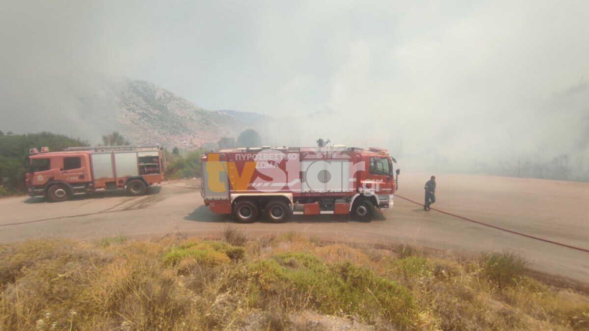 Φωτιά στο Δίστομο Βοιωτίας – Μάχη να μη φτάσουν οι φλόγες σε κατοικημένη περιοχή