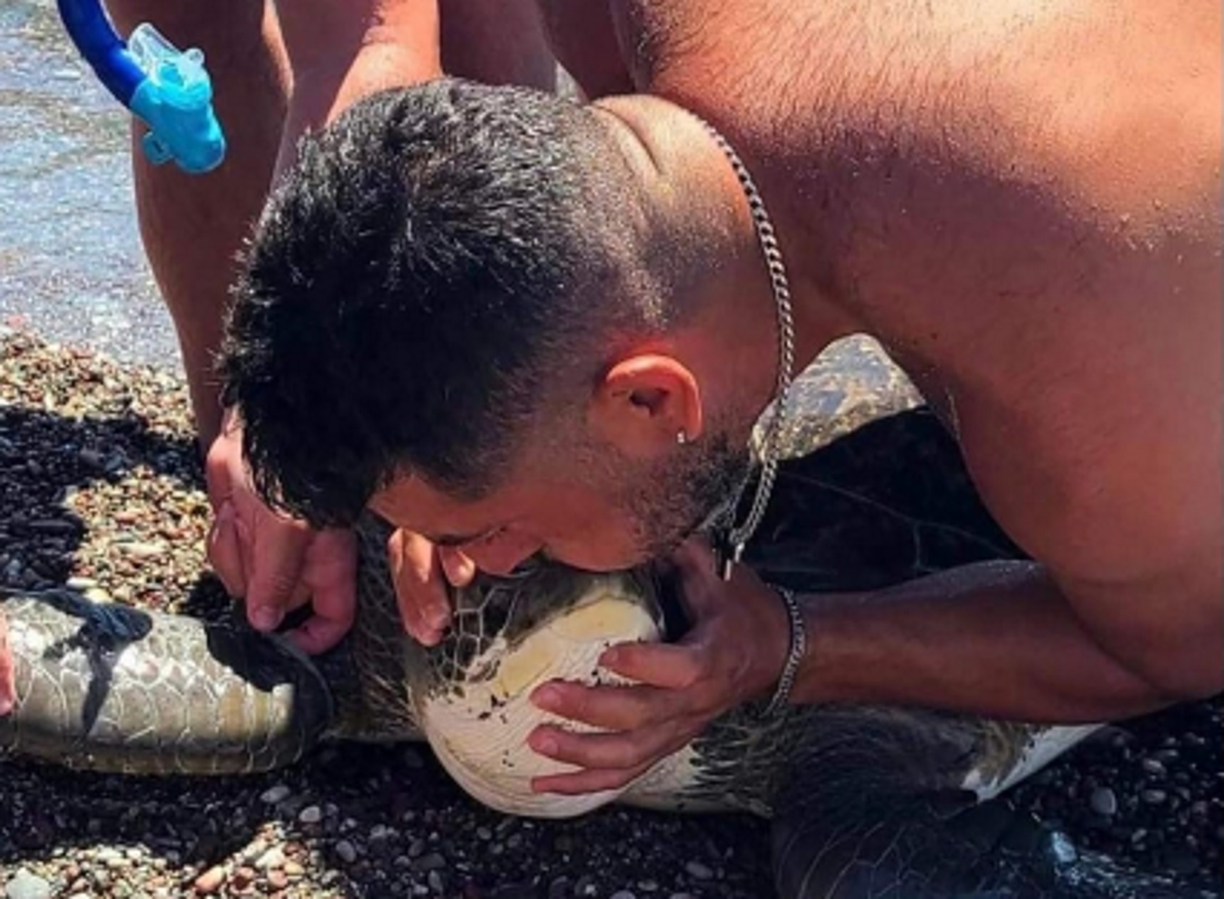 Ρόδος: Η στιγμή που δύτης κάνει τεχνητή αναπνοή και σώζει θαλάσσια χελώνα που μπλέχτηκε σε σχοινιά