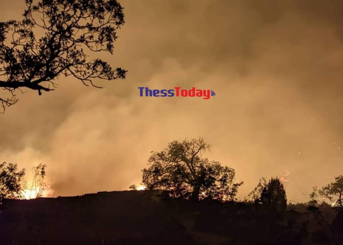 Φωτιά στον Έβρο: Δεύτερη εφιαλτική νύχτα στο Δάσος της Δαδιάς – Πόσα στρέμματα έχουν ήδη καεί