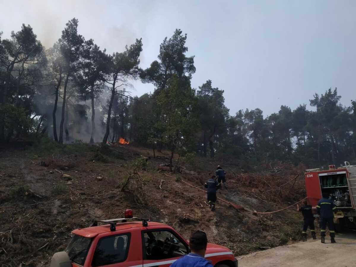 Φωτιά στον Έβρο: Ένα το ενεργό μέτωπο στη Δαδιά – Ενισχύονται συνεχώς οι δυνάμεις