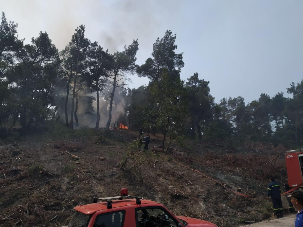 Φωτιά στον Έβρο: Μάχη μόνο από αέρος για να σωθεί το Εθνικό Πάρκο της Δαδιάς