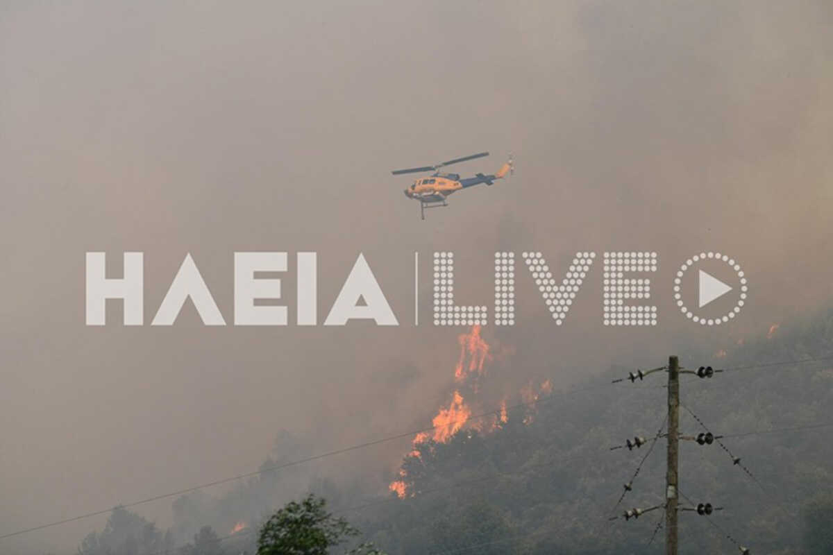 Φωτιά στην Ηλεία: Μήνυμα από το 112 για εκκένωση του οικισμού Λάττα