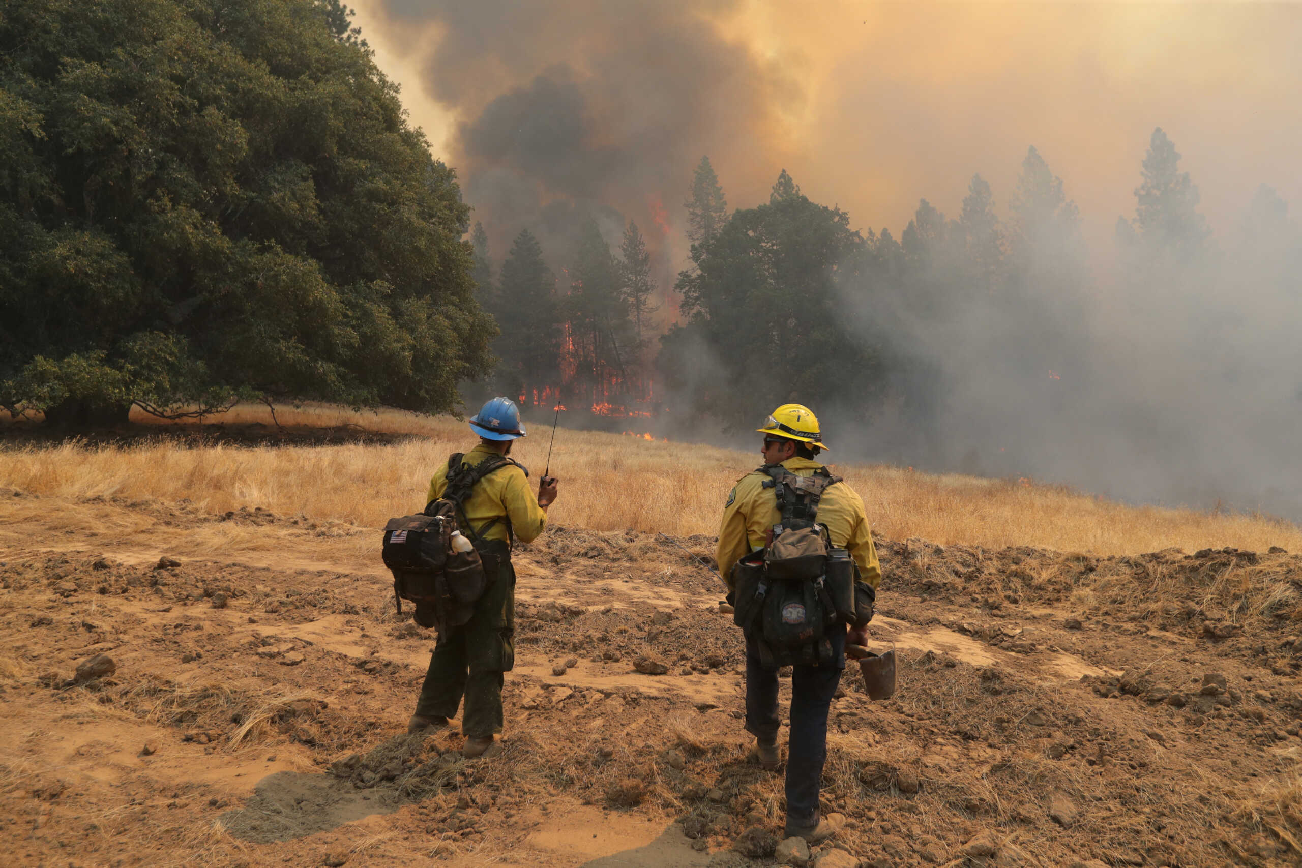 The Oak Fire burns near Darrah in Mariposa County, California, U.S. July 24, 2022.  REUTERS