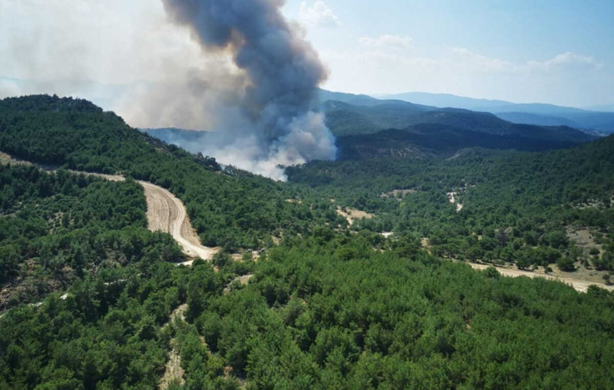 Φωτιά στο δάσος της Δαδιάς: Άρχισε να βρέχει στον Έβρο