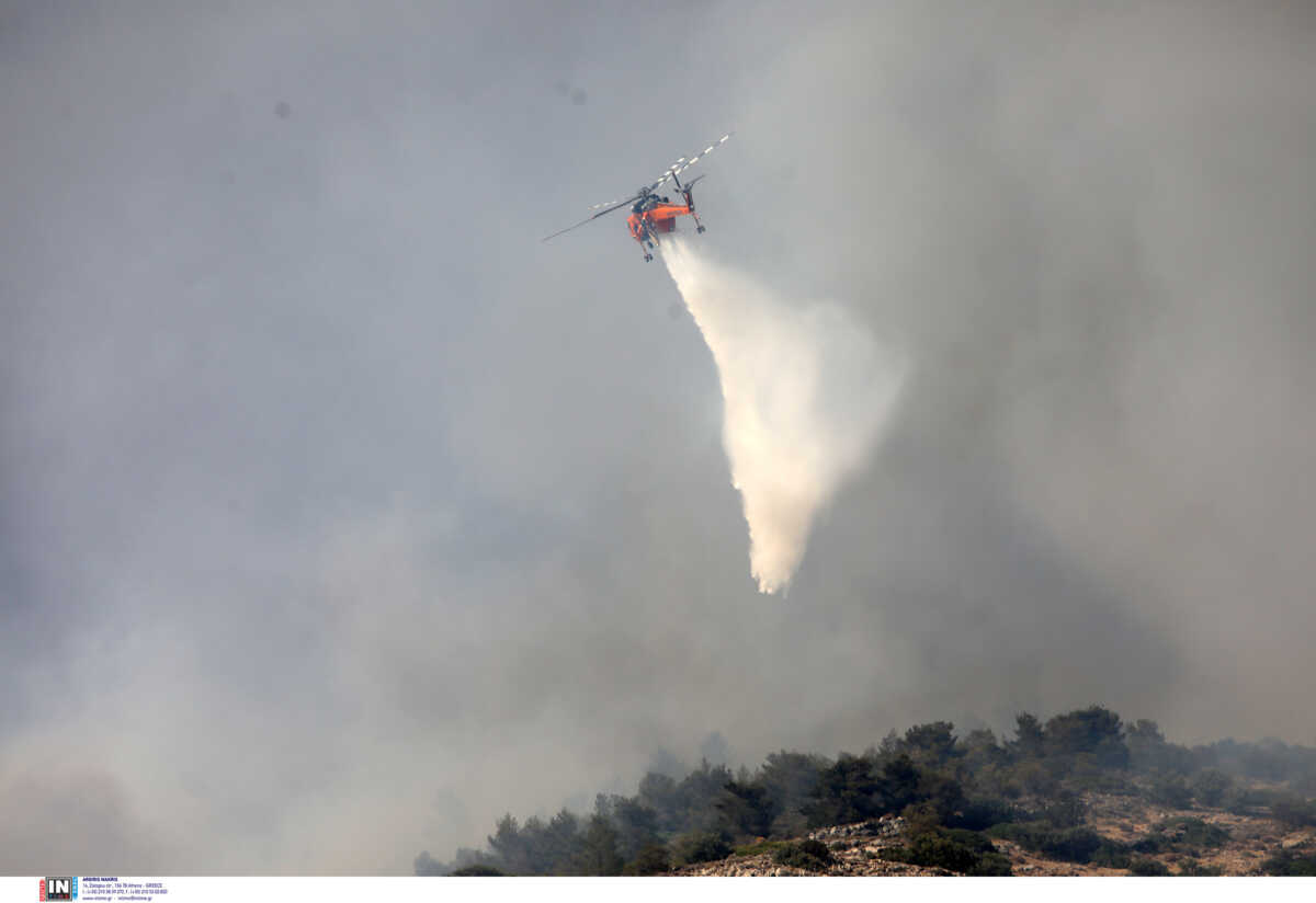 Φωκίδα: Φωτιά στην περιοχή Τολοφώνα – Στη μάχη επίγεια και εναέρια μέσα