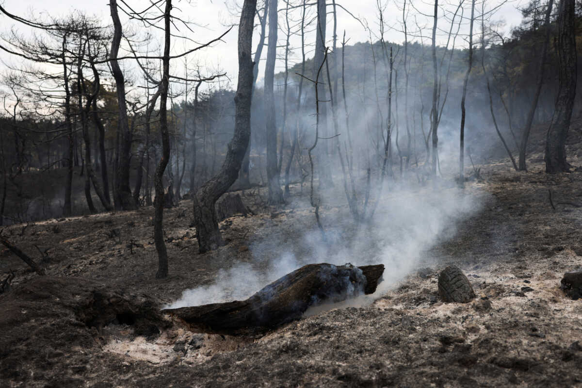Φωτιά στο δάσος της Δαδιάς: Τι αποκάλυψαν οι δορυφορικές εικόνες του ΟΦΥΠΕΚΑ