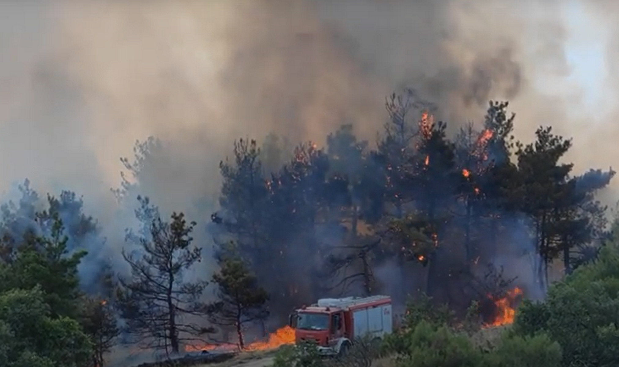 Έβρος: Πύρινη κόλαση στο δάσος της Δαδιάς – Οι φλόγες καίνε τα πάντα