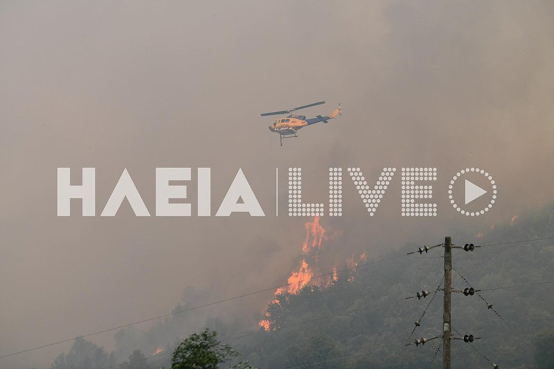 Φωτιά στην Ηλεία: Δεν υπάρχει ενεργό μέτωπο – Εξετάζεται το αν οφείλεται σε εμπρησμό ή όχι