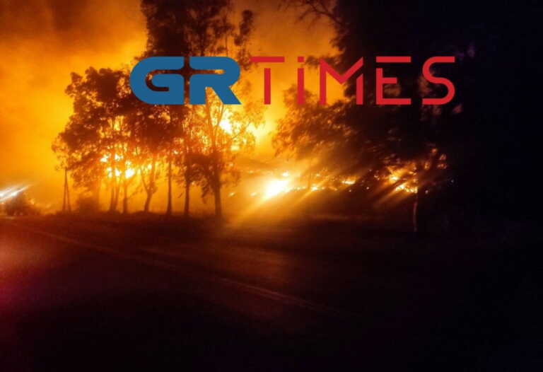 Φωτιά στην Φωκίδα: Δίπλα στην Ιτέα φτάνουν οι φλόγες - «Απειλούνται εργοστάσια»