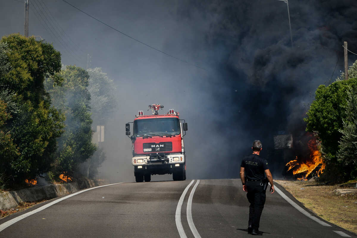 Φωτιά στα Κρέστενα Ηλείας: Χωρίς ενεργό μέτωπο η πυρκαγιά – Συνεχίζουν να επιχειρούν οι πυροσβεστικές δυνάμεις