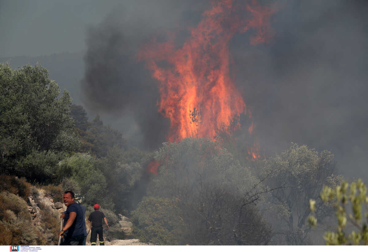 Φωτιά στην Πύλο: Μεγάλη κινητοποίηση της πυροσβεστικής