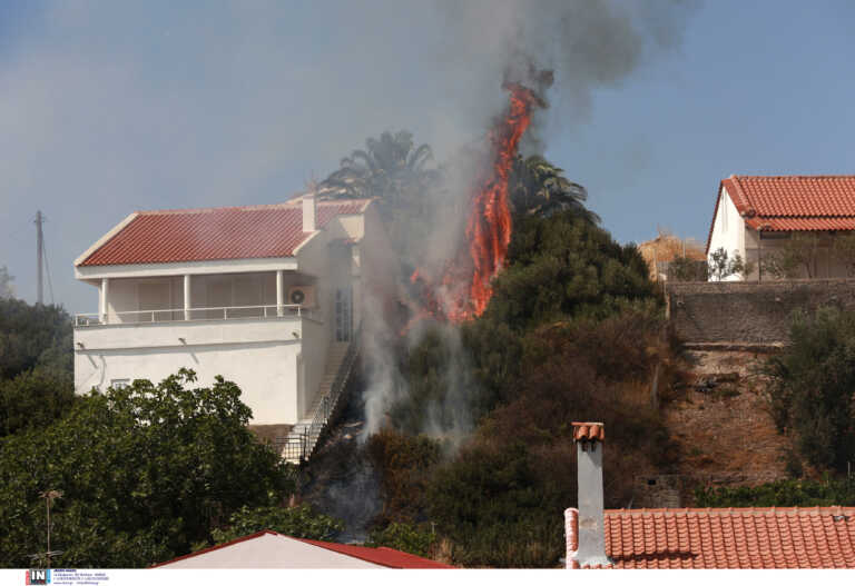 Λέσβος:  Άμεση αποζημίωση των πληγέντων από τη φωτιά στα Βατερά δηλώνει ο Τριαντόπουλος
