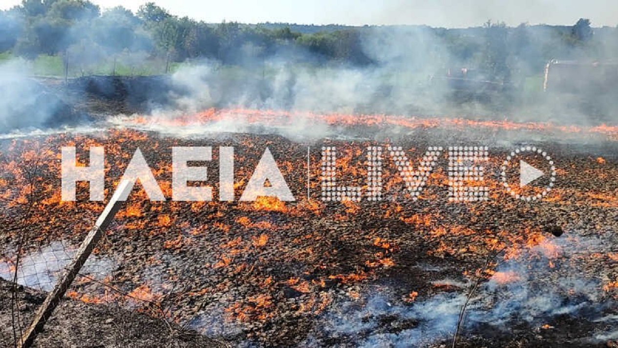 Πύργος: Φωτιά σαν λάβα στο Σκουροχώρι – Καίγονται απόβλητα ελαιοτριβείου