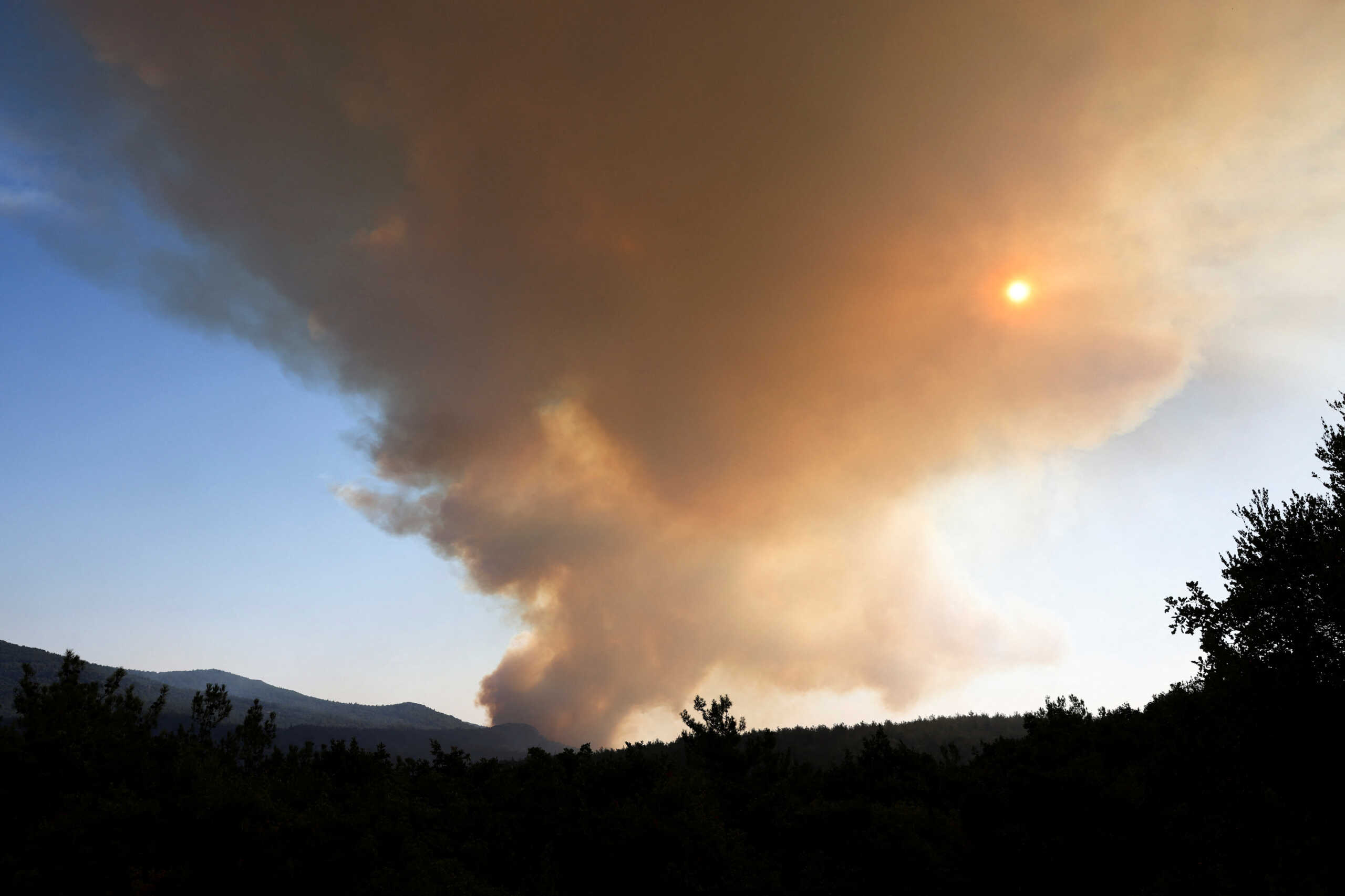 A wildfire burns in the Dadia National Park, in the region of Evros, Greece, July 26, 2022. REUTERS