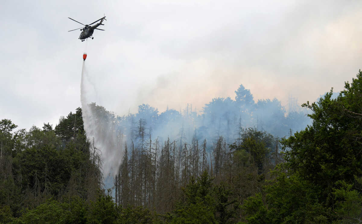 Αυξήθηκαν δραματικά οι φωτιές στην ΕΕ φέτος – 130.000 στρέμματα έχουν καεί στην Ελλάδα