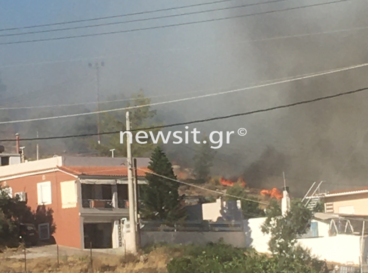 Φωτιά στη Σαλαμίνα: Εκκενώθηκαν τρεις οικισμοί