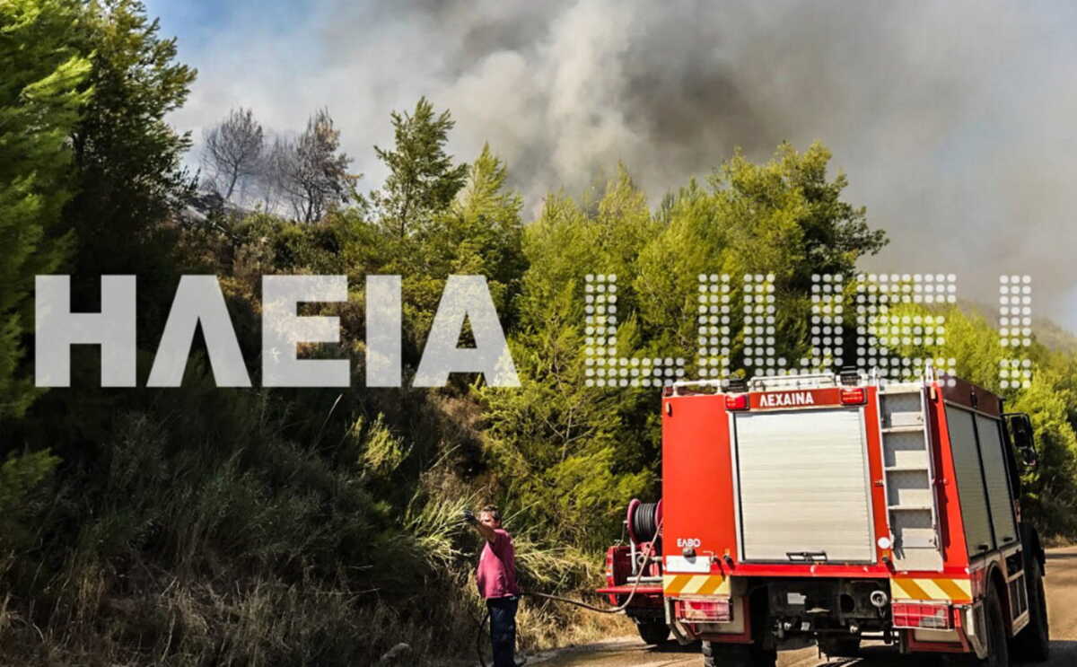 Φωτιά στην Ηλεία – «Σηκώθηκαν» αεροπλάνα και ελικόπτερα
