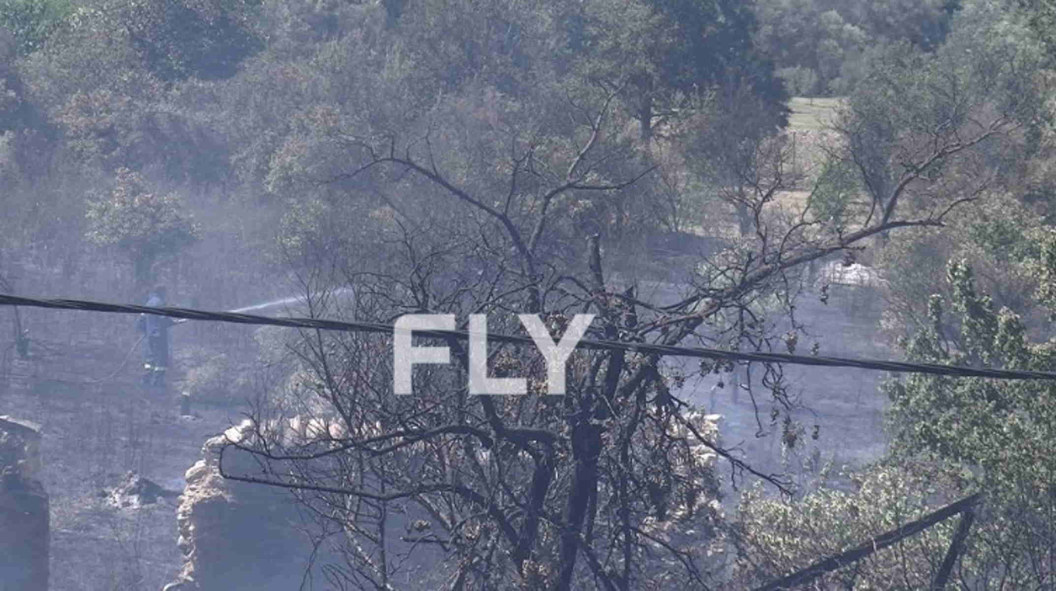 Φωτιά στη Σπάρτη – Στις φλόγες δάσος στην περιοχή Παλαιοπαναγιά