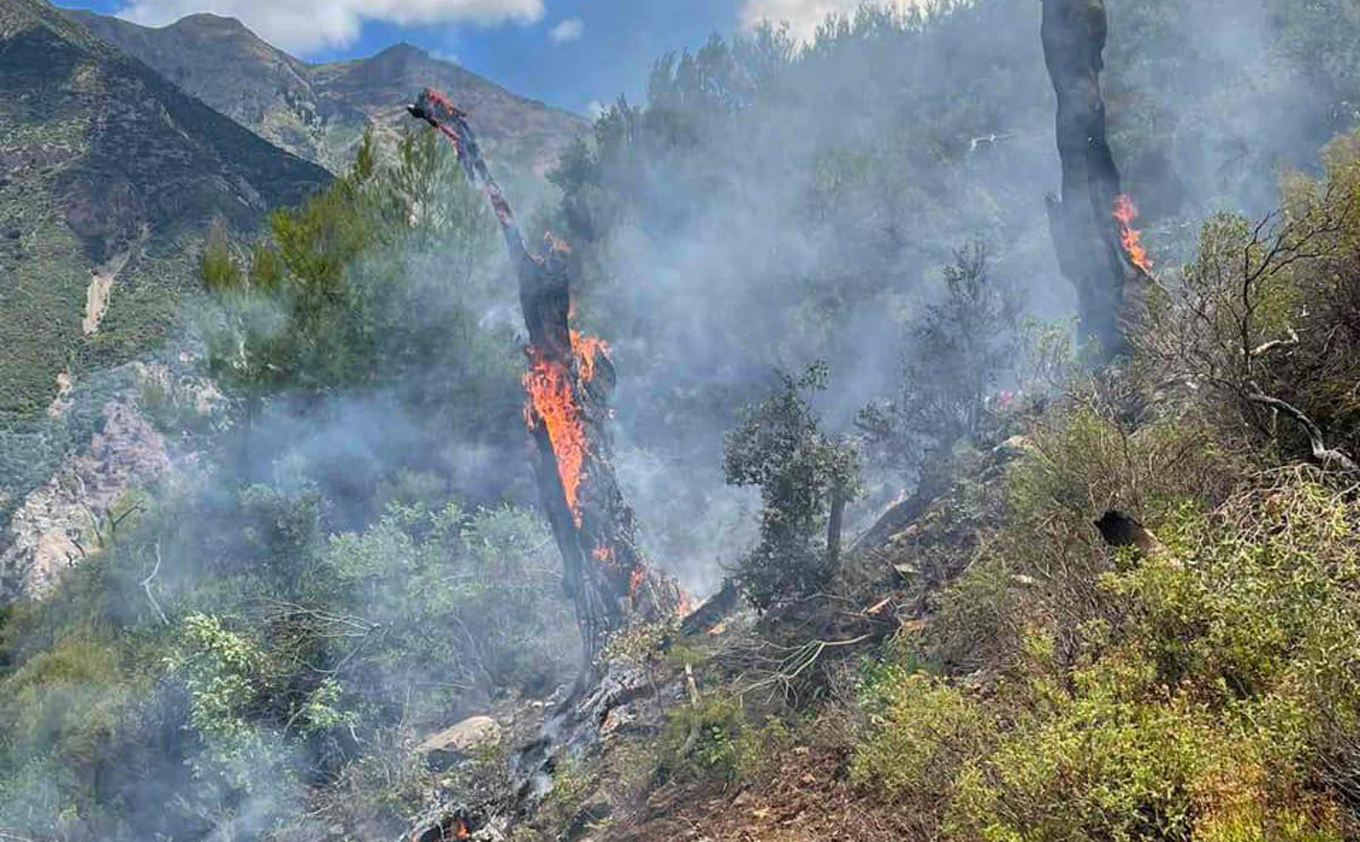 Αχαϊα: Υπό έλεγχο η δασική φωτιά σε δύσβατο σημείο του δήμου Αιγιαλείας – Οι πυροσβέστες σε επιφυλακή