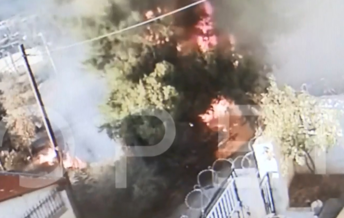 Ασπρόπυργος: Βίντεο ντοκουμέντο με εμπρηστή – Έβαλε φωτιά σε δέντρο δίπλα σε σπίτια