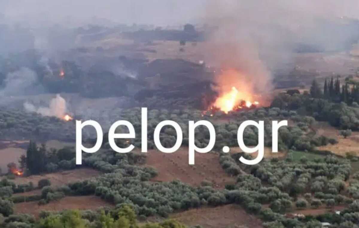 Φωτιά στην Ηλεία: Αναζωπύρωση στη Βάλμη – Πλησιάζει πευκόδασος