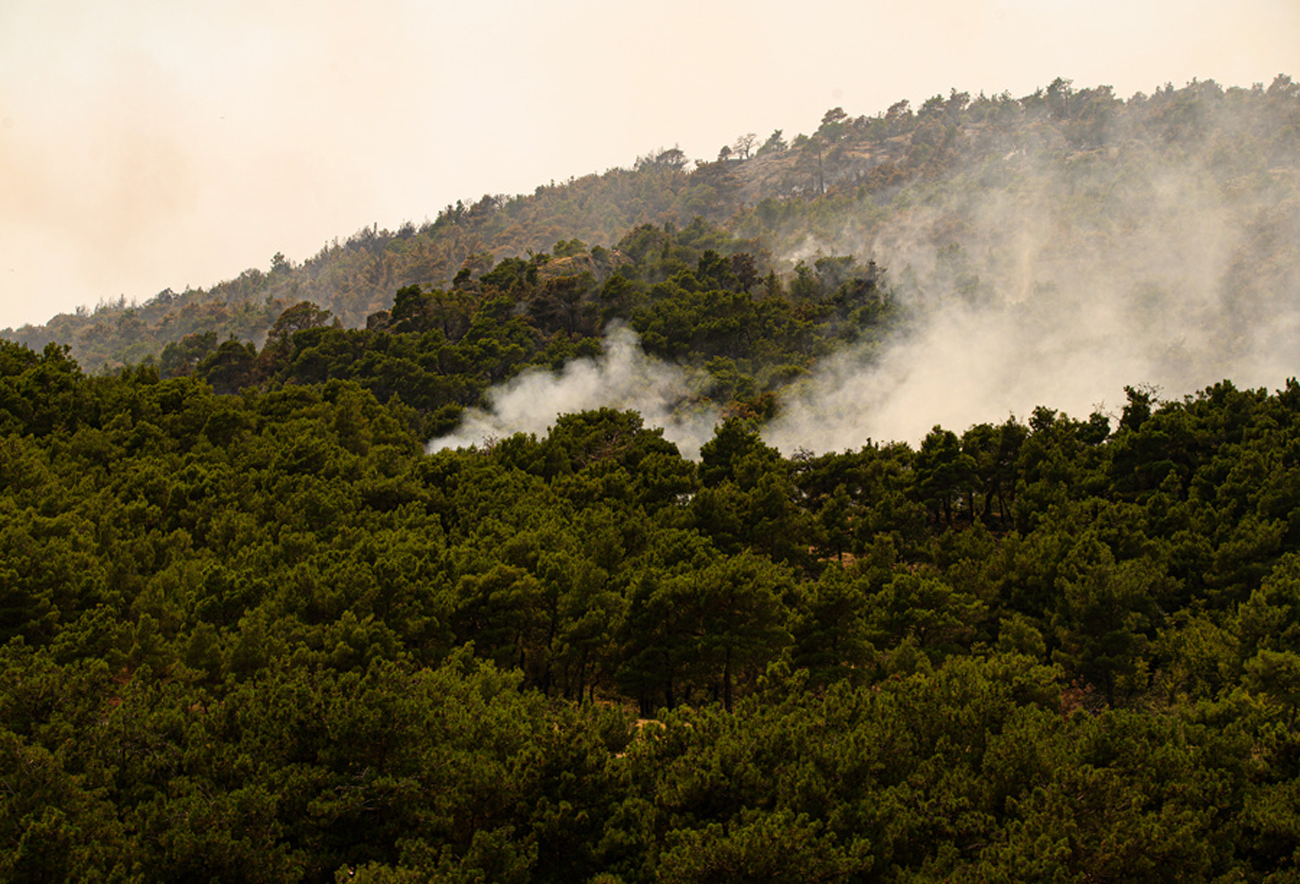 Φωτιά στη Δαδιά: Δεν μπορούν να επιχειρήσουν τα εναέρια λόγω καιρού