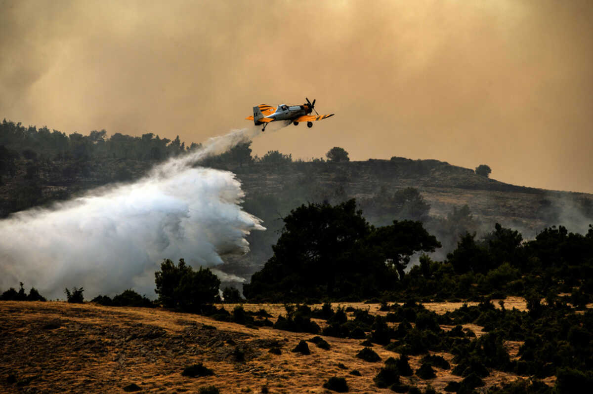 Φωτιά στη Δαδιά Έβρου: Τιτάνια η μάχη να σωθεί το Εθνικό Πάρκο, αντίπαλος ο αέρας