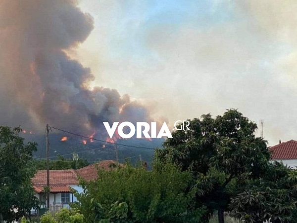 Φωτιά στη Δαδιά: Προς την εθνική οι φλόγες – Αγωνία για τα οικοσυστήματα, δεν κινδυνεύει το χωριό