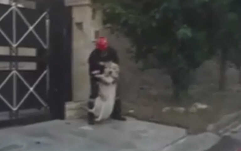 Η στιγμή που εθελοντής σώζει σκύλο μέσα από ένα σπίτι που απειλείται από τη φωτιά στην Πεντέλη