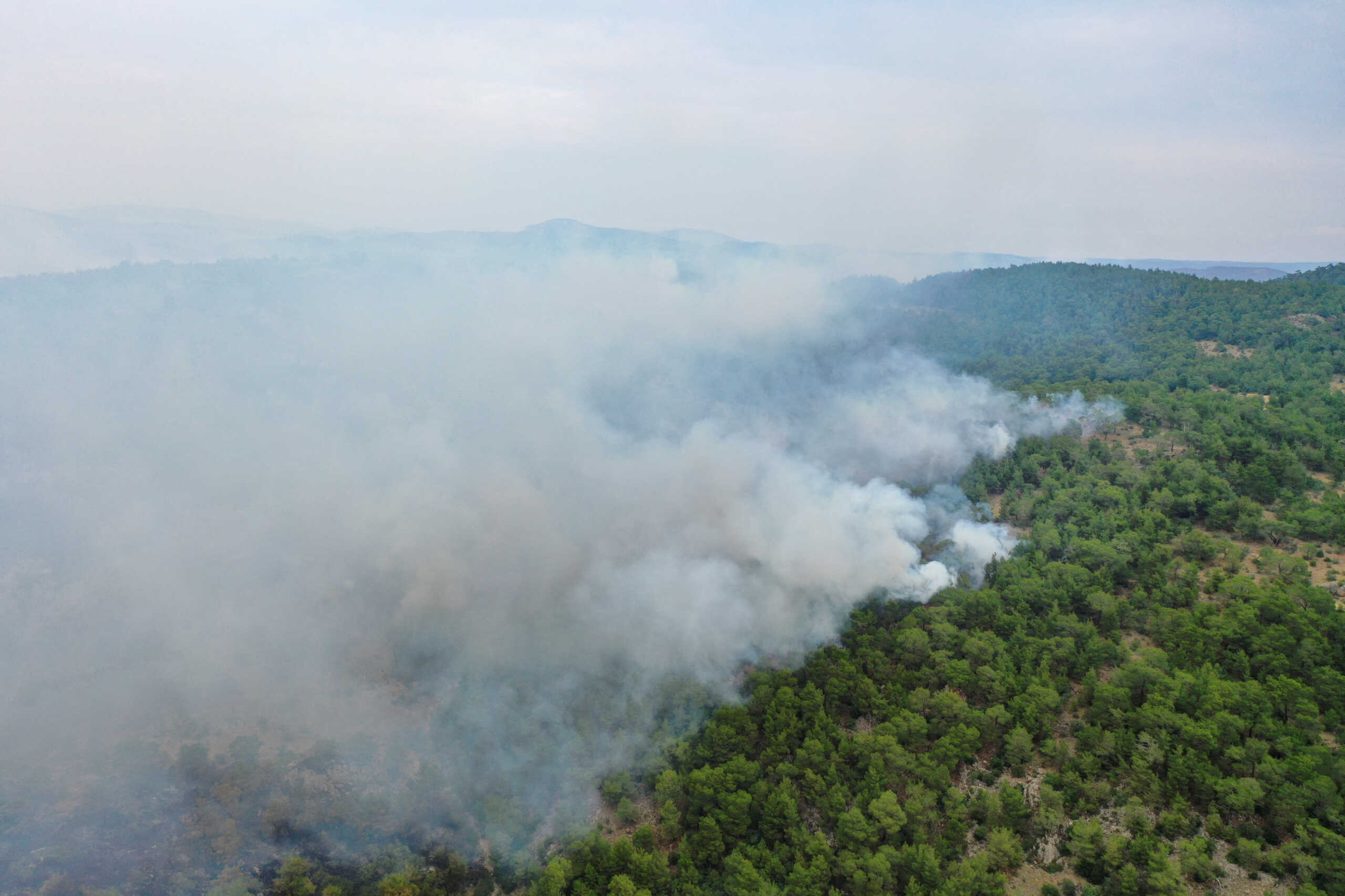 Smoke rises as wildfire burns a forest area near the village of Dadia, in the region of Evros, Greece, July 25, 2022. REUTERS