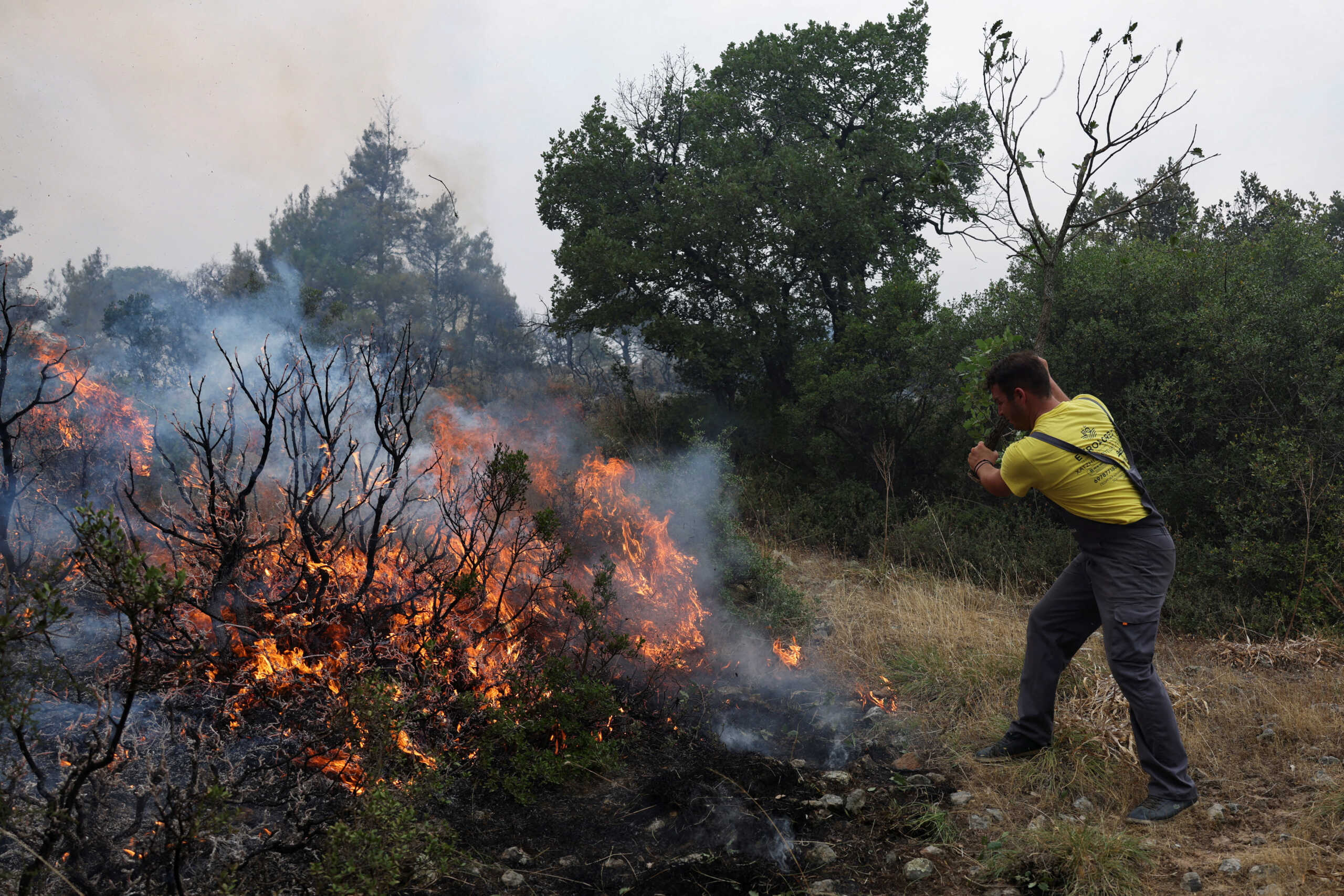 A local tries to extinguish a wildfire burning a forest area near the village of Dadia, in the region of Evros, Greece, July 25, 2022. REUTERS